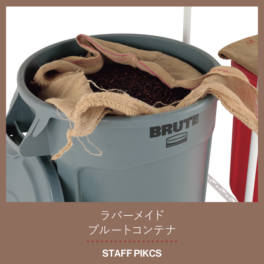 スタッフのおすすめ ブルートコンテナ