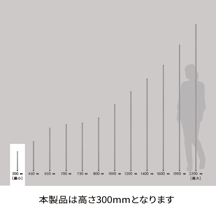 ベーシックシリーズ ポール 300mm ブラック 1組2本入